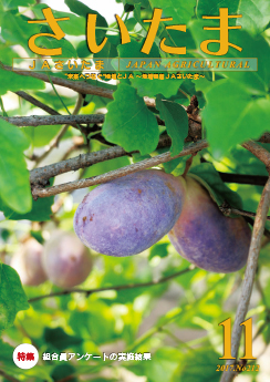 広報誌「さいたま」2017年11月 No.212