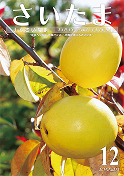 広報誌「さいたま」2017年12月 No.213