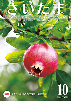 広報誌「さいたま」 2018年10月 No.223