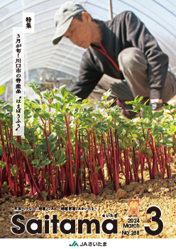 広報誌「さいたま」2024年3月 No.288