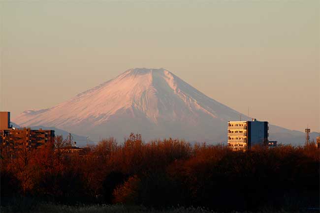 2018年1月 No.214号