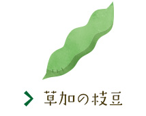 草加の枝豆