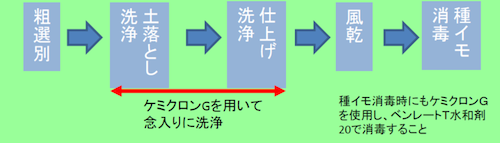 植付け前の種イモの消毒 工程