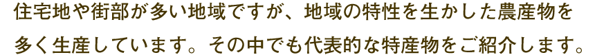 代表的な農産物