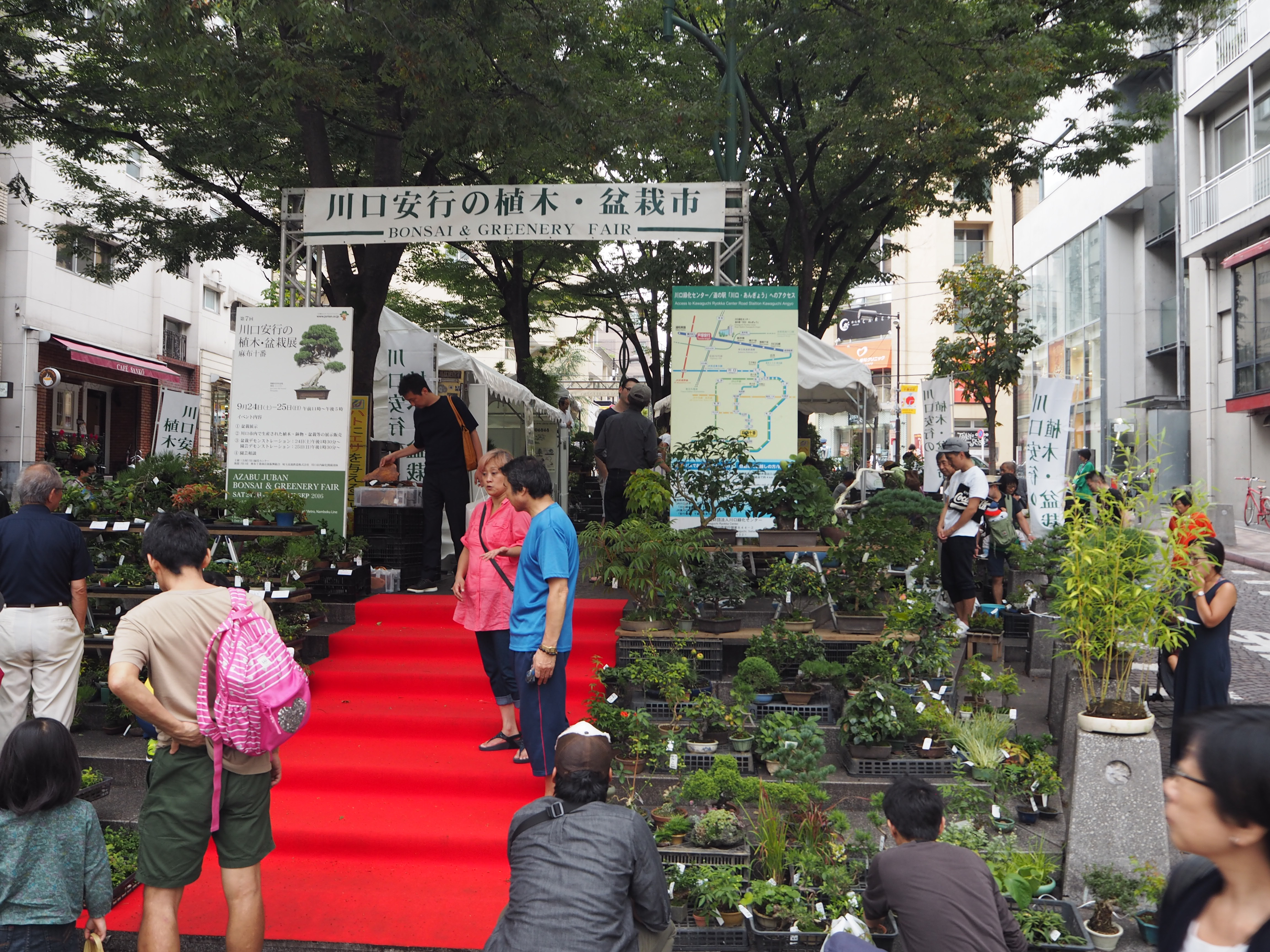 麻布十番で植木・盆栽展（安行支店）