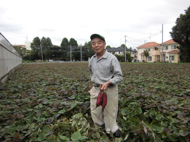 ラジオ番組で「紅赤」をＰＲ（七里支店）