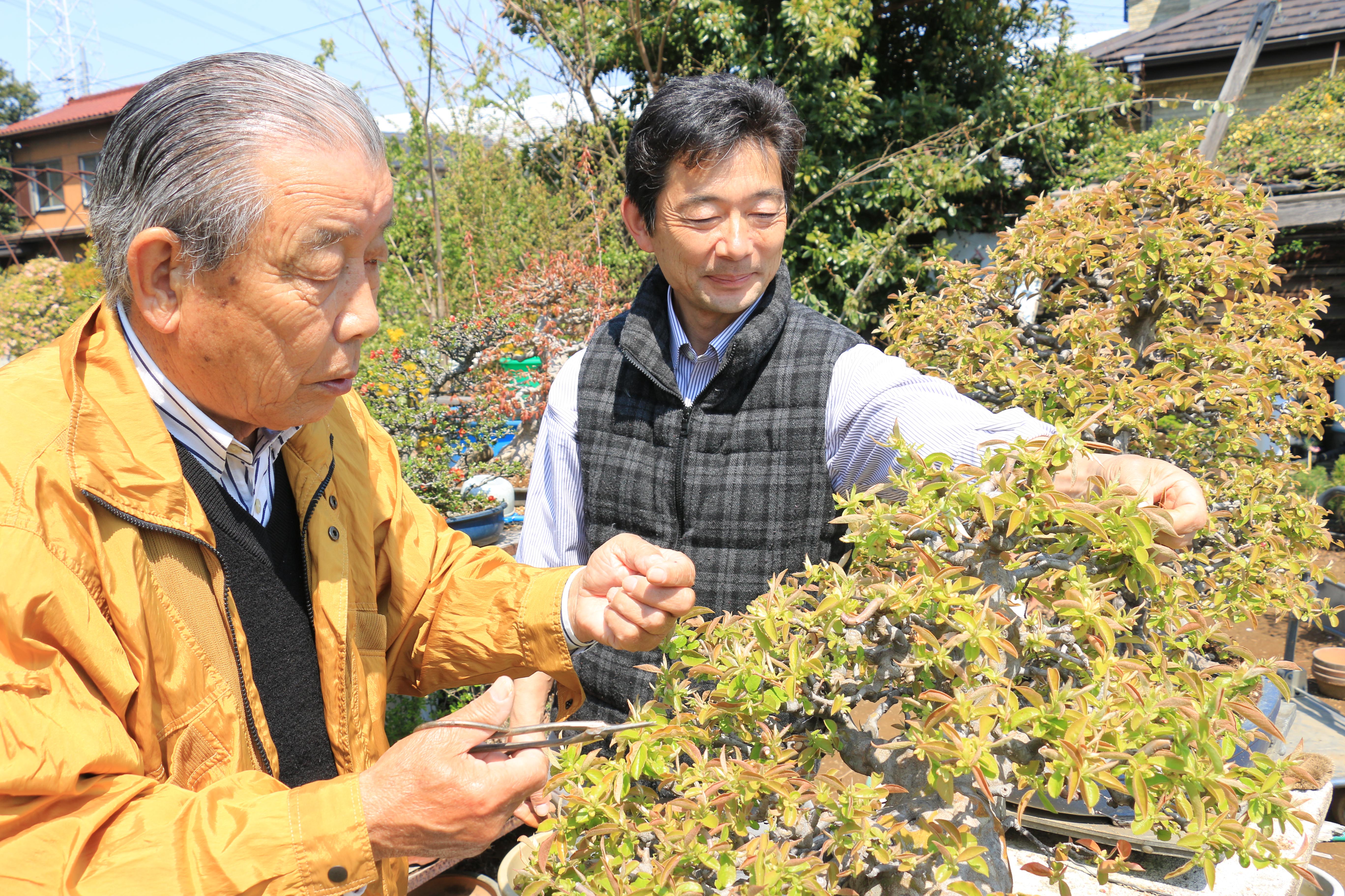 「第8回世界盆栽大会inさいたま」に向けて（神根支店）