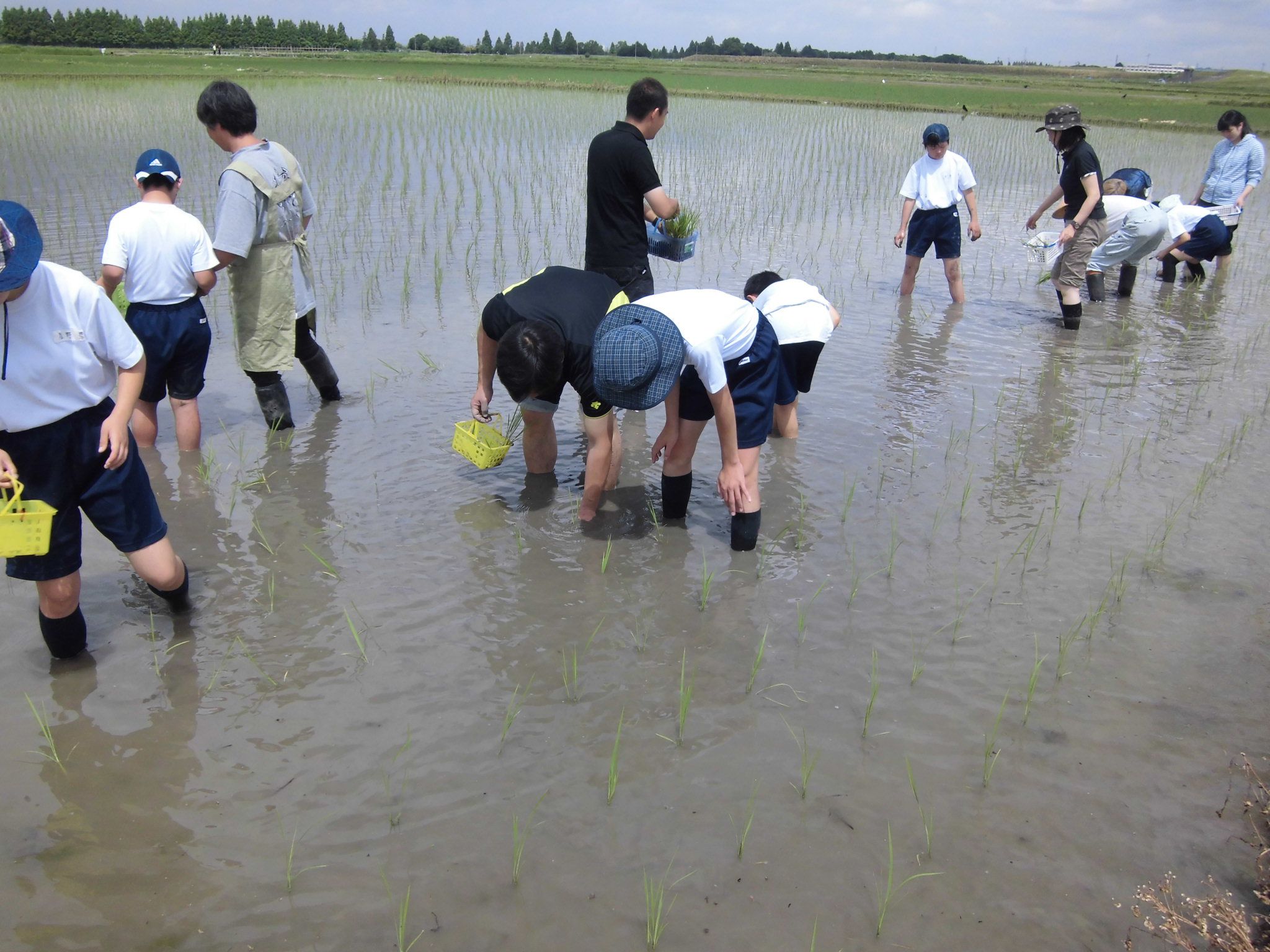 今年も元気に田植えに来たよ!!（馬宮支店）