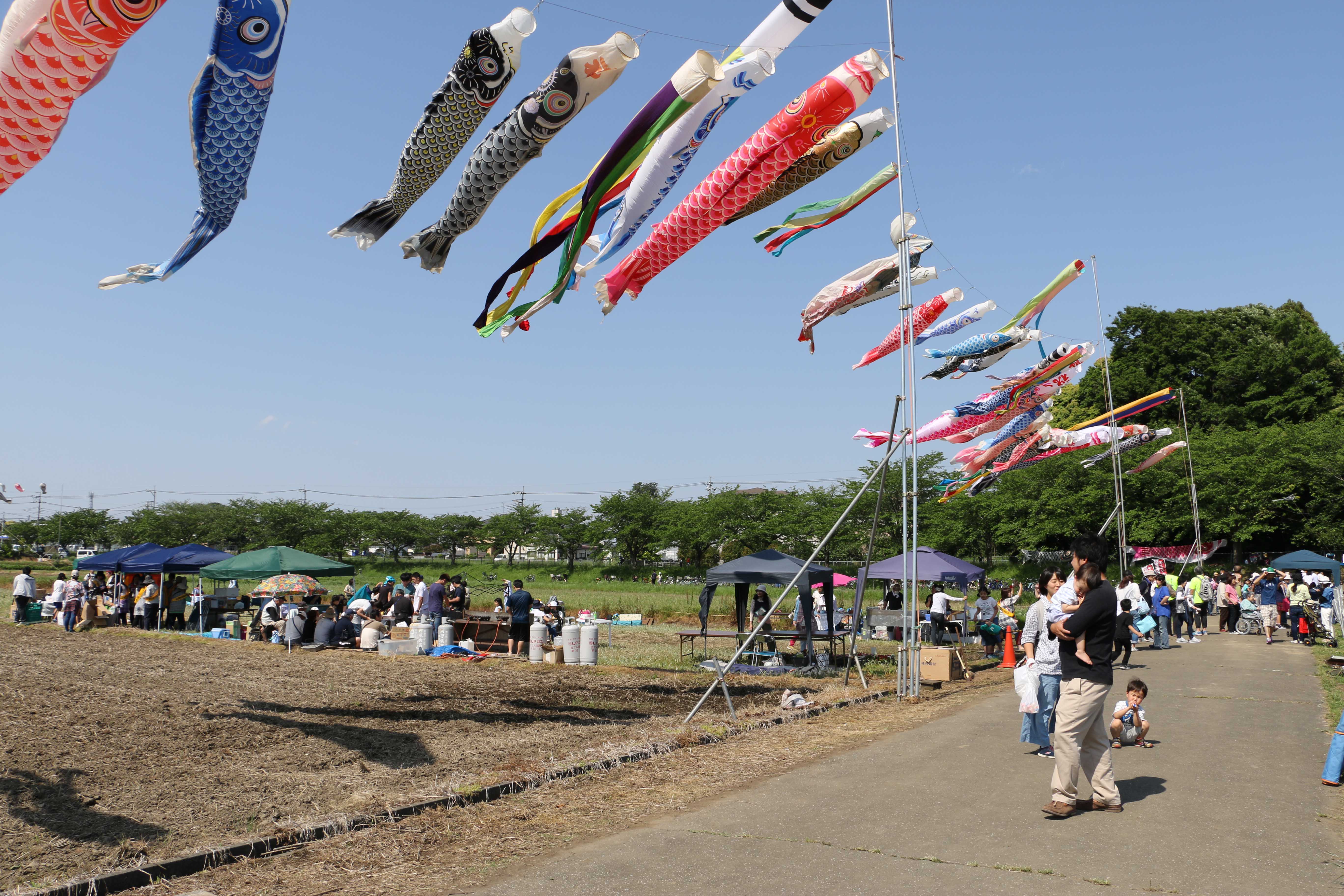 膝子こいのぼり祭り (2)