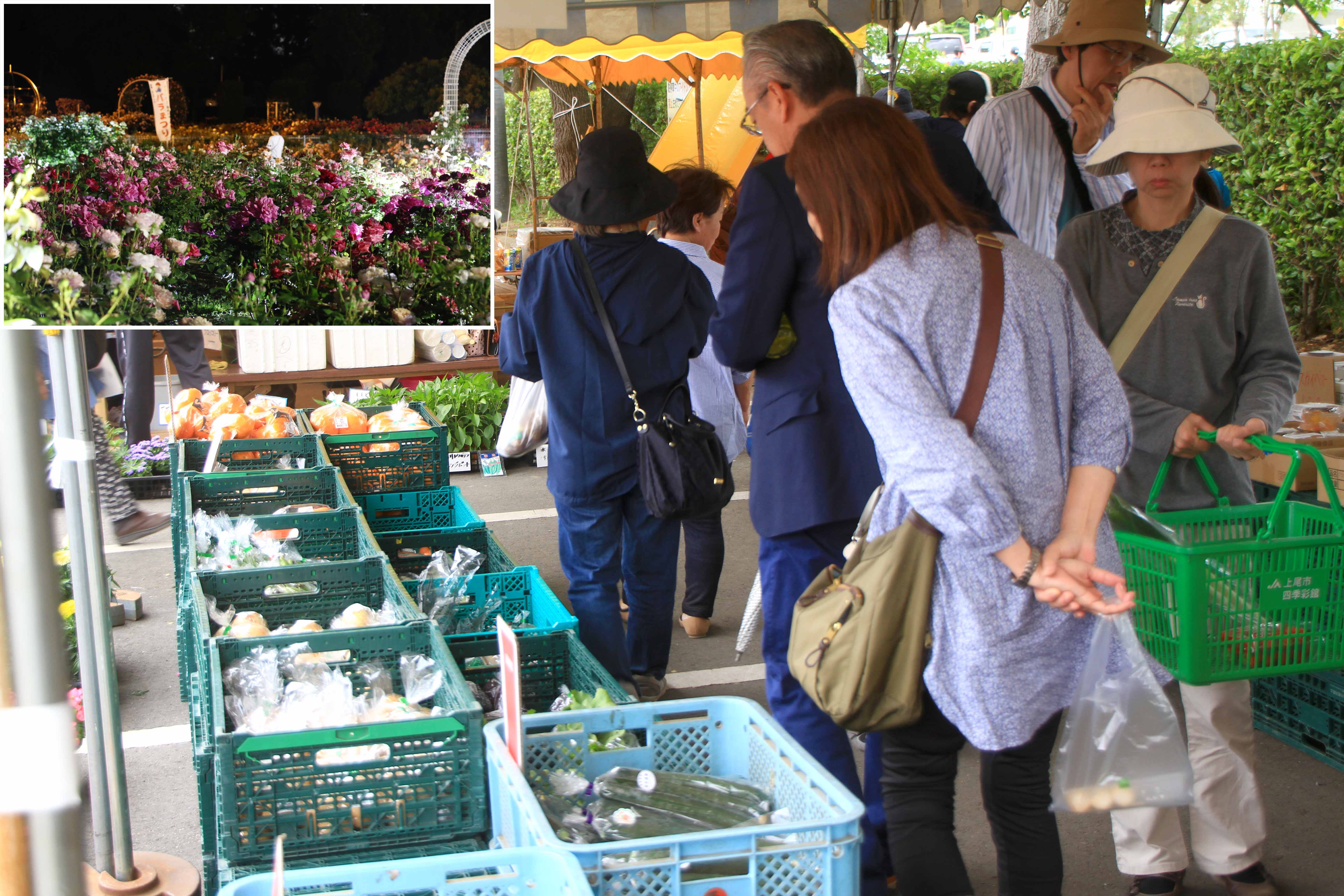 バラまつりに出店（四季彩館農産物直売所：伊奈町）