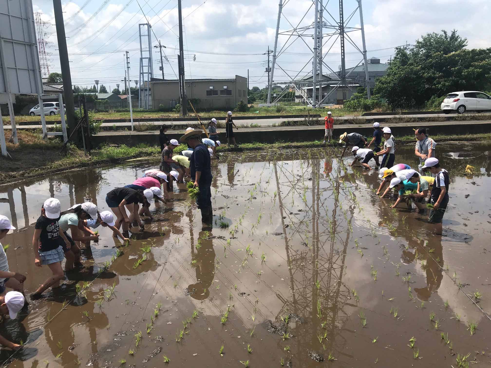 田植え指導35年（上平支店：上尾市）