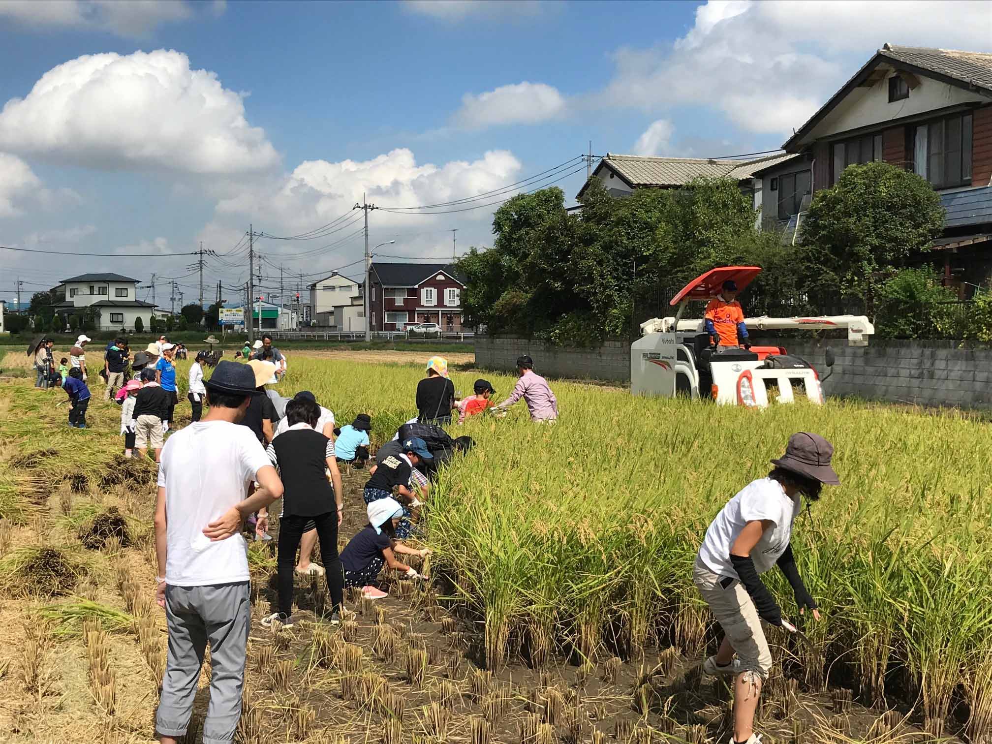 初開催!!　お米作りを知ろう（馬宮支店：さいたま市）