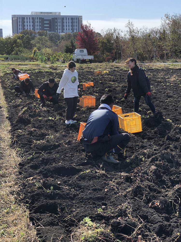 ボランティア学生団体に協力（六辻支店：さいたま市）