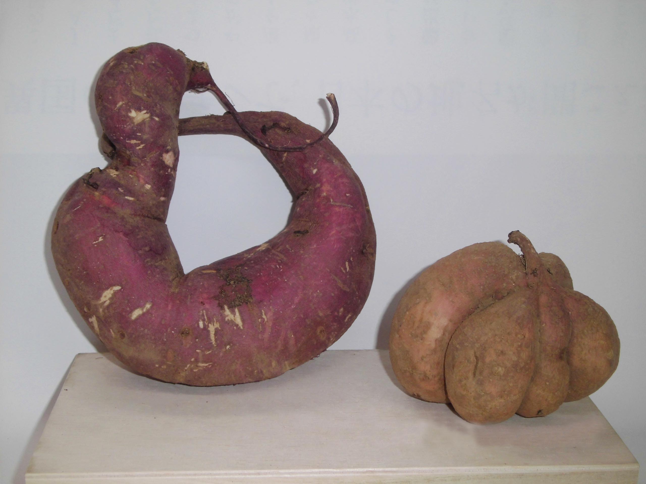 珍しい形をしたサツマイモ（馬宮支店：さいたま市）