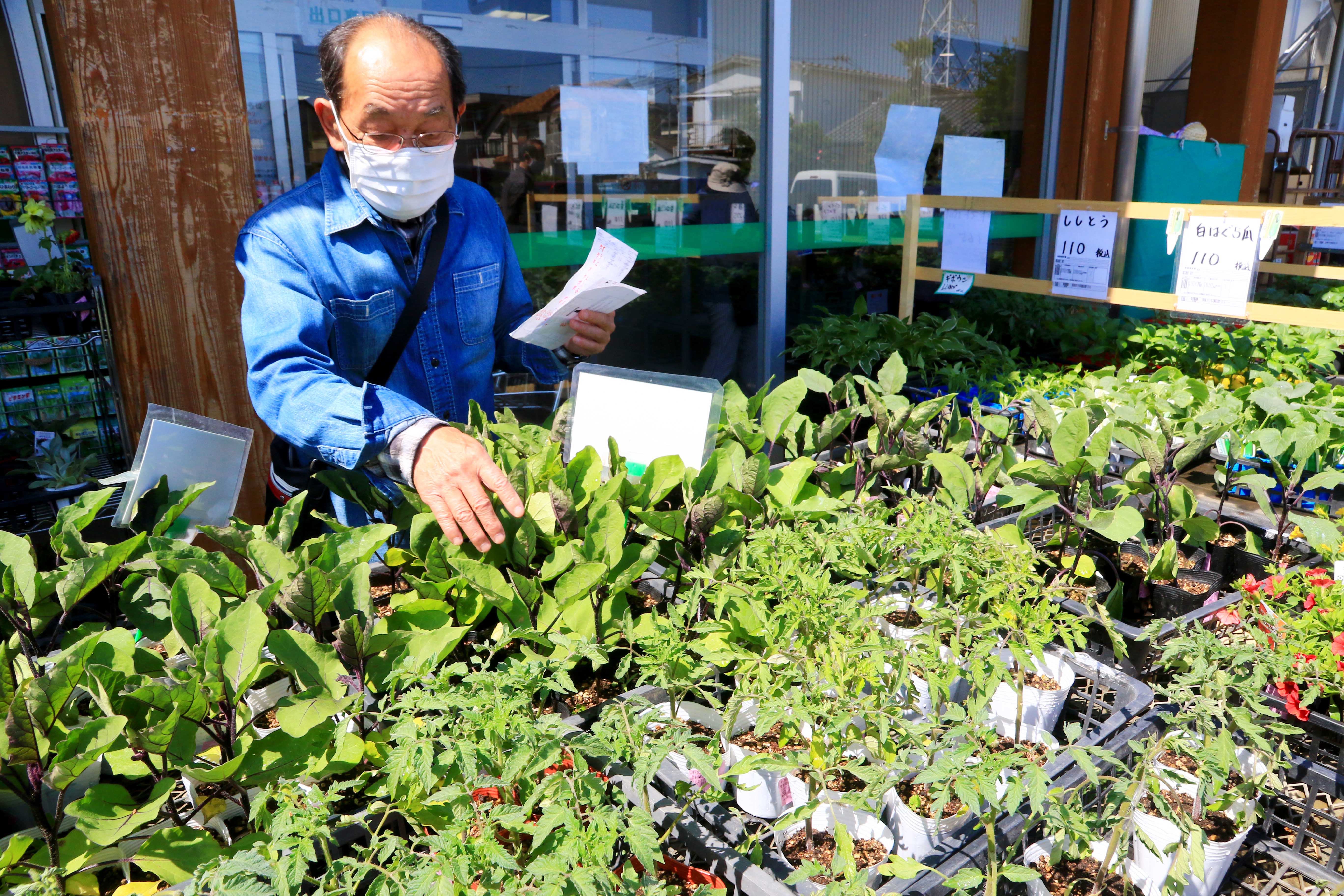 夏野菜苗が大好評（中部・南部直売推進センター）