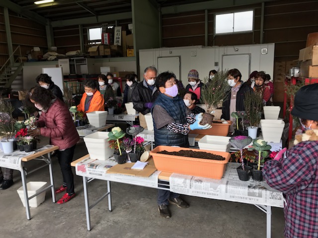 ハボタンなど笑顔で寄せ植え（大石支店：上尾市）