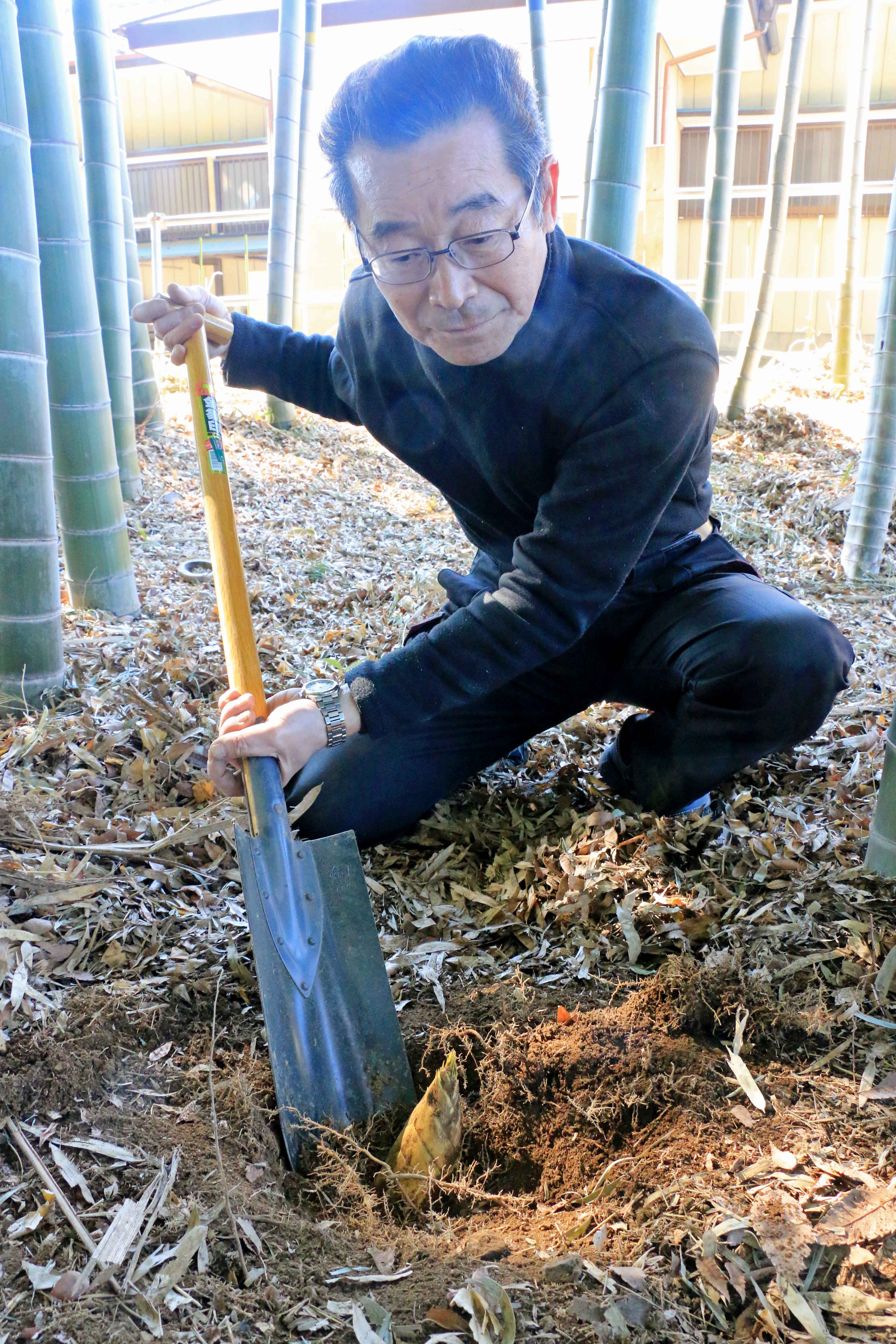 春の味覚「タケノコ」（日進支店：さいたま市）