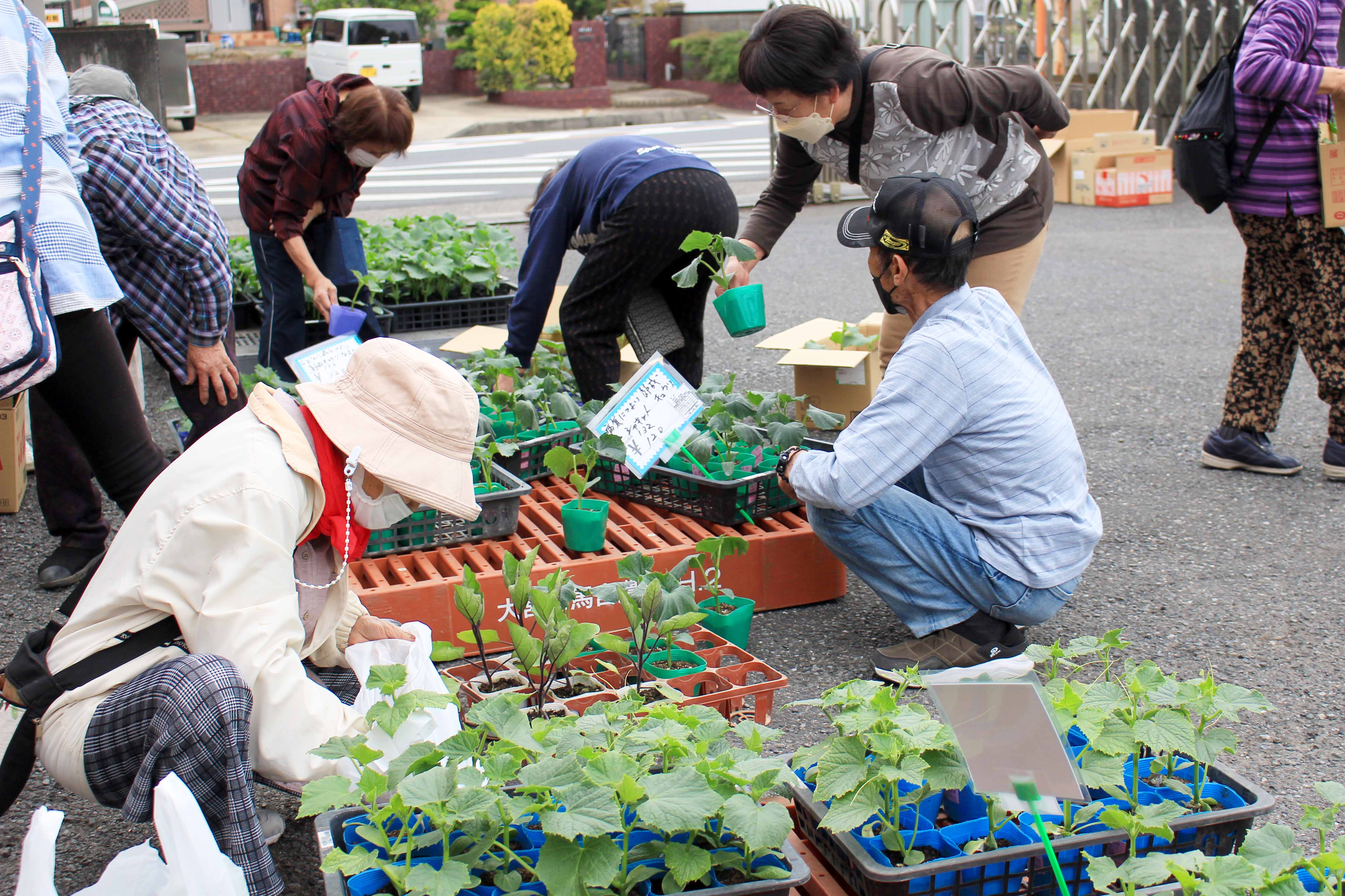 ３年ぶりの野菜苗市を開催（大門支店：さいたま市）