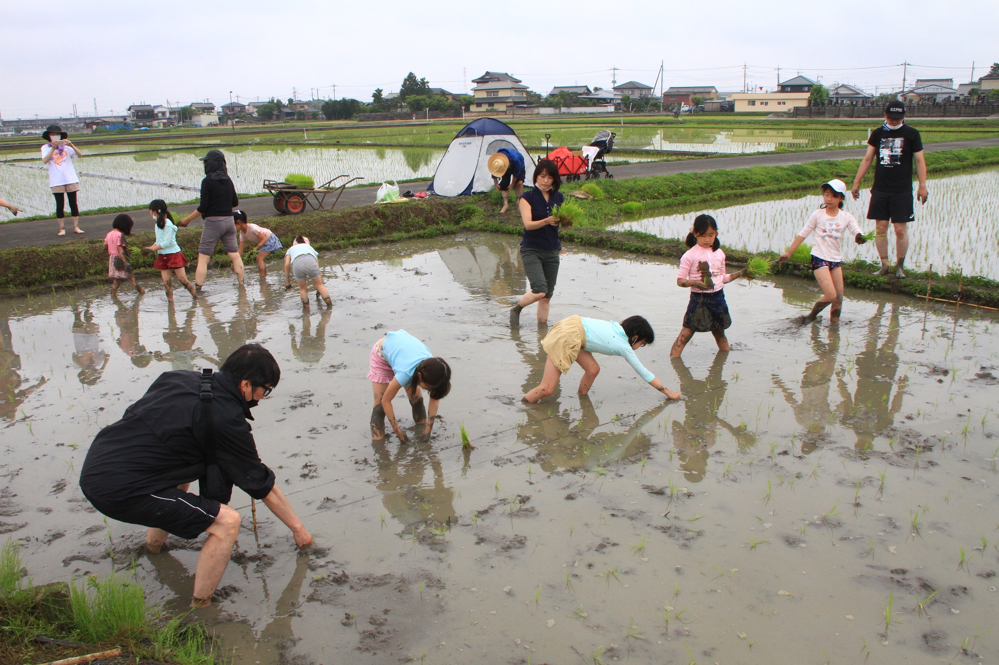 都内から田植え体験に（吹上支店：鴻巣市）