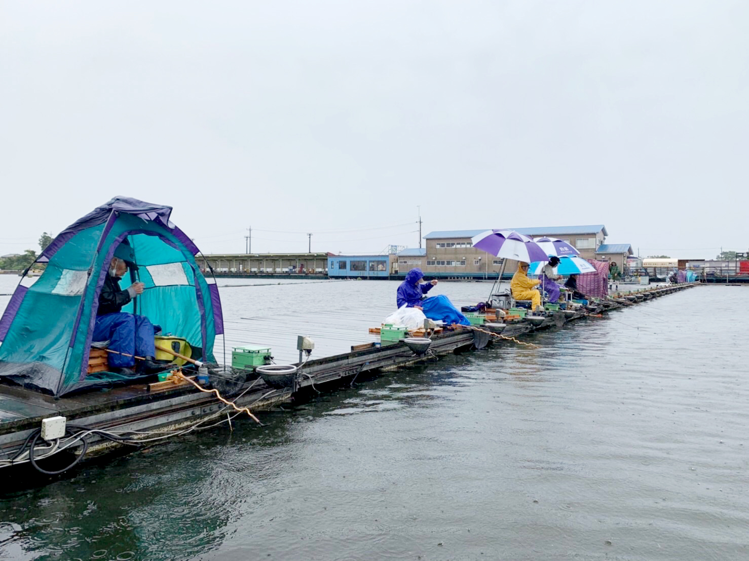 雨の中でも楽しく鮒釣り大会（大門支店：さいたま市）