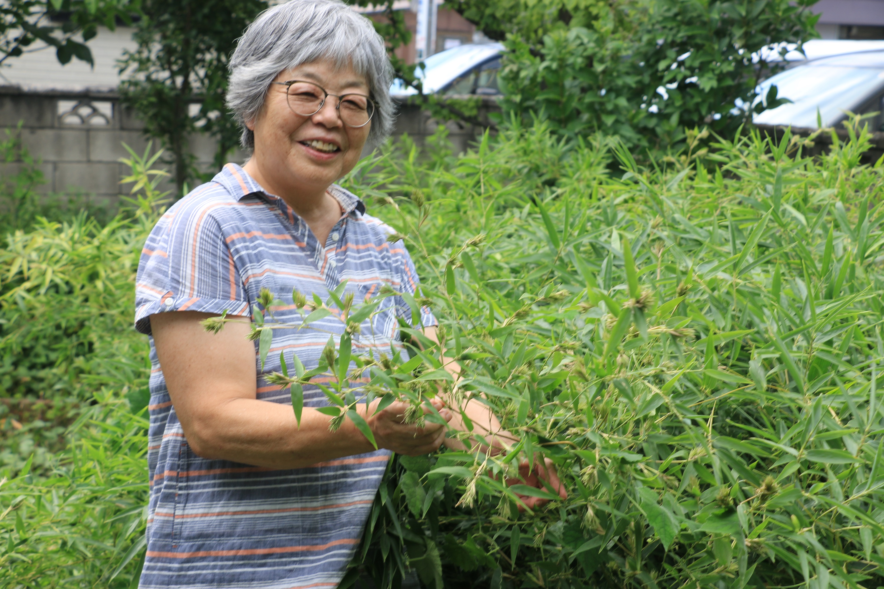 120年に一度!?　竹の花再び（草加支店：草加市）