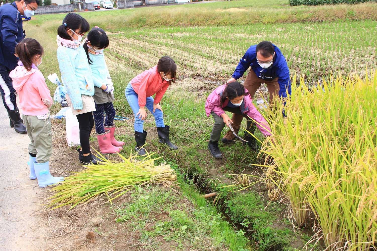 収穫の喜び学ぶ（吹上支店：鴻巣市）