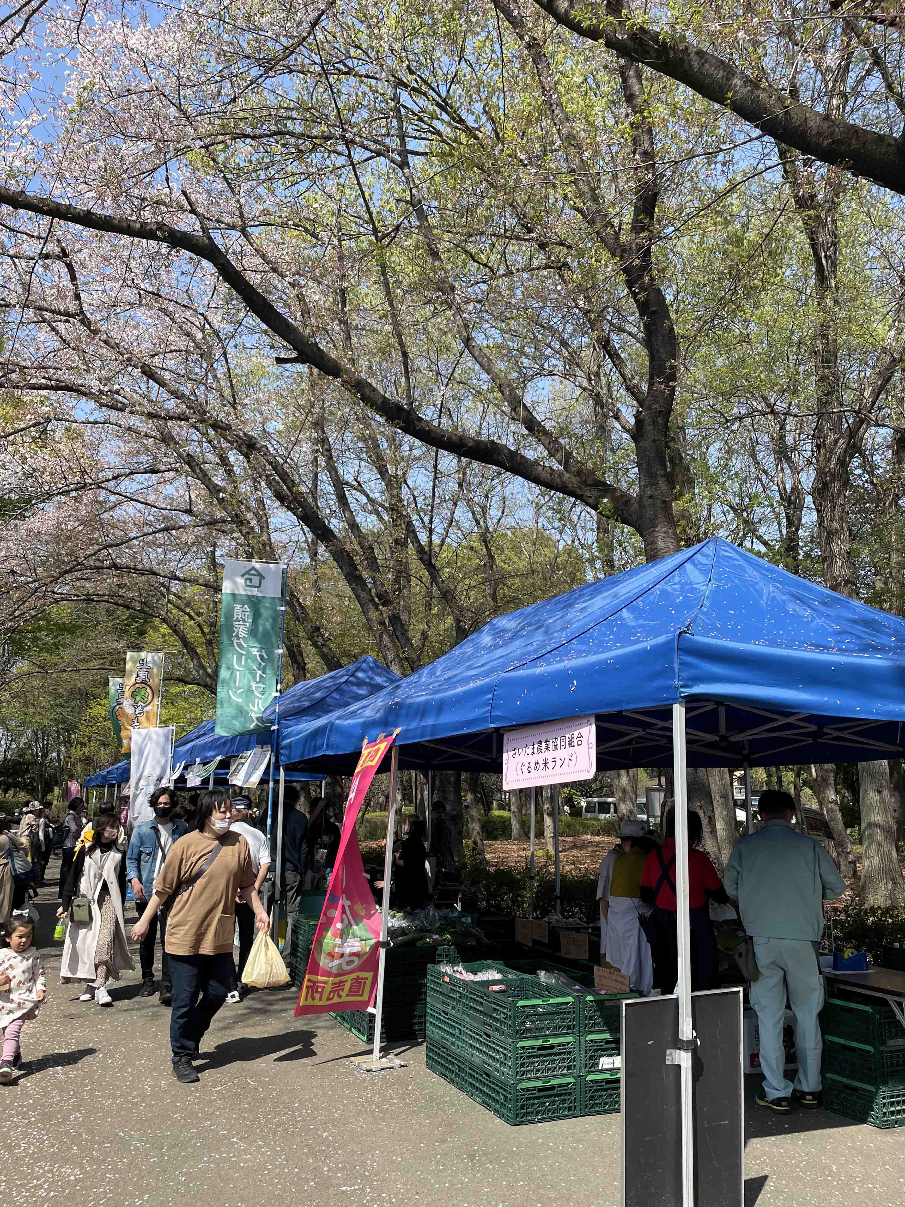 春の祭典「さくらまつり」に出店（上尾市：上尾ぐるめ米ランド、伊奈町：四季彩館農産物直売所）