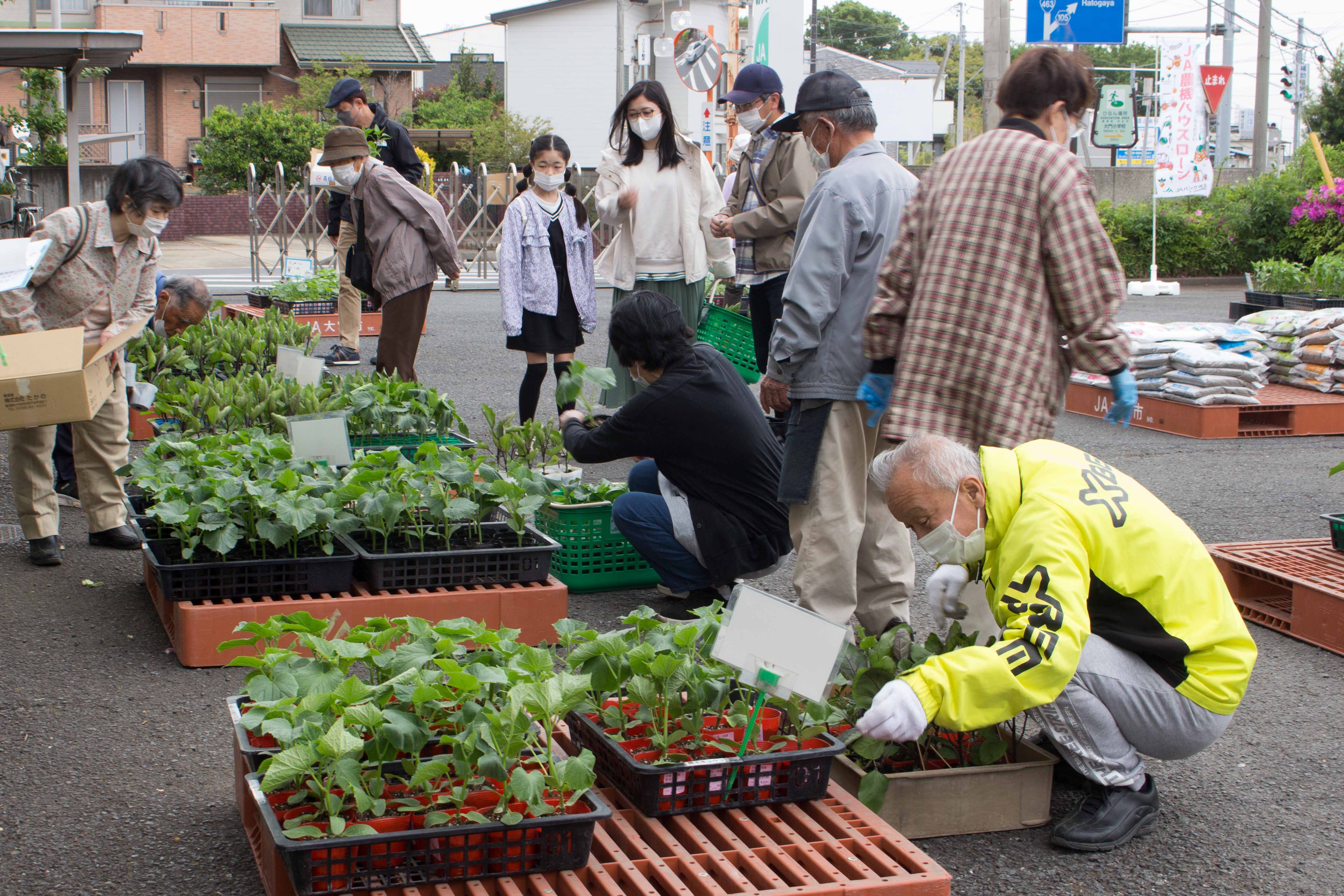 春の野菜苗市　開催（美園支店：さいたま市）