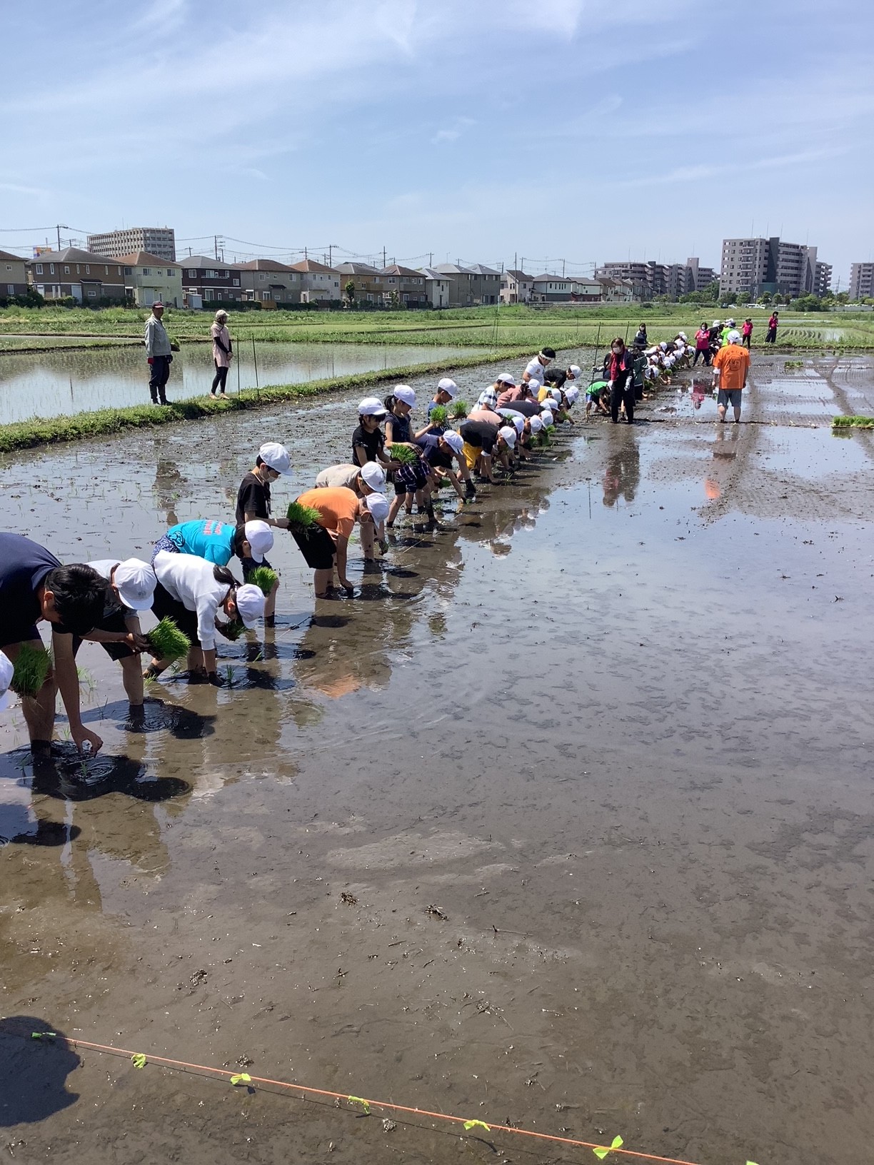 おいしいお米にな～れ！各地で田植え体験教室