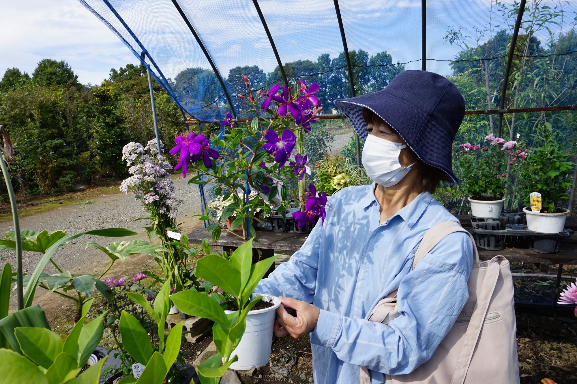 秋空の下、植木市開催（大宮緑花木センター：さいたま市）