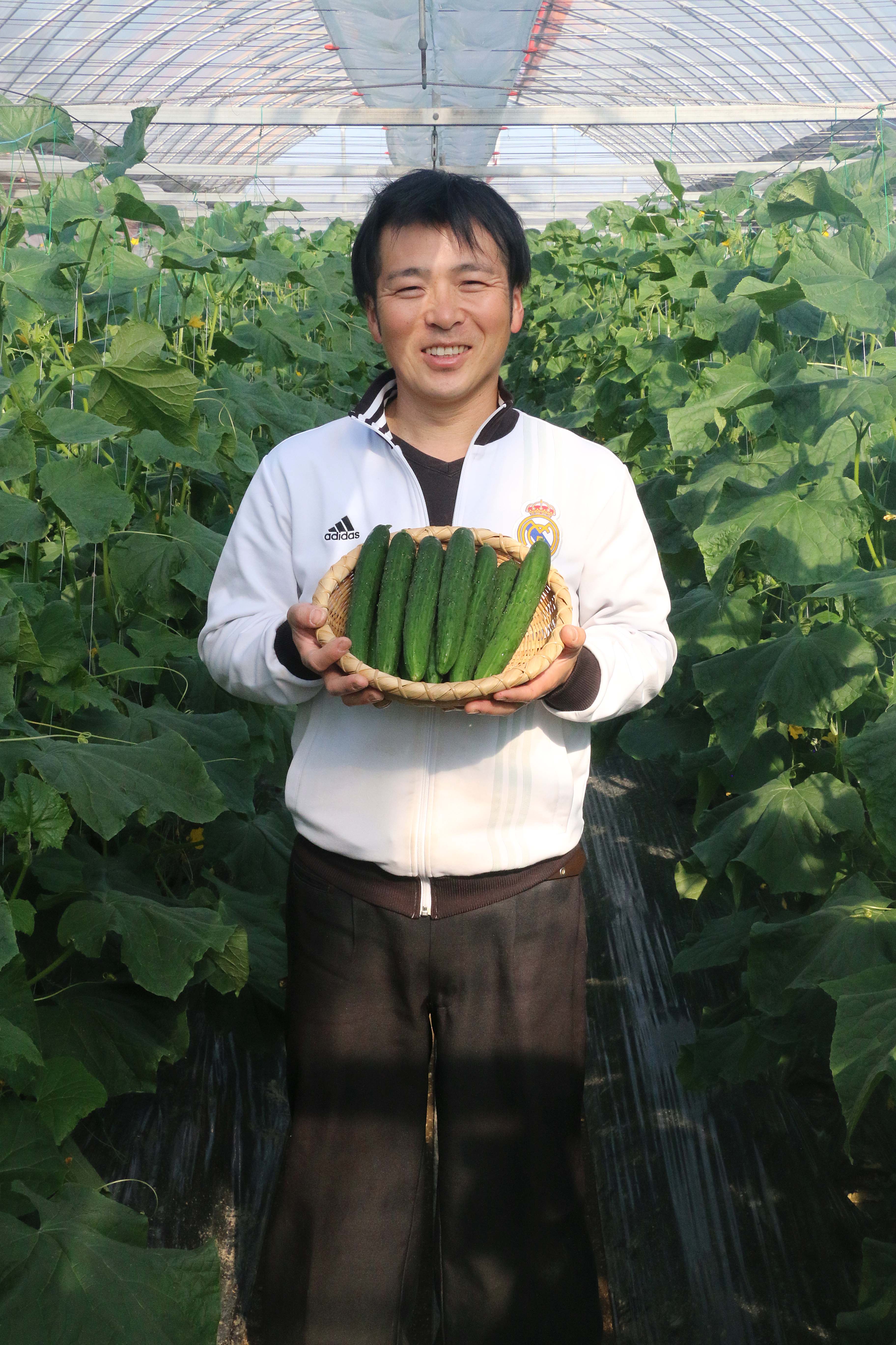 毎日食べたくなるキュウリ（北部営農経済課：北本市）