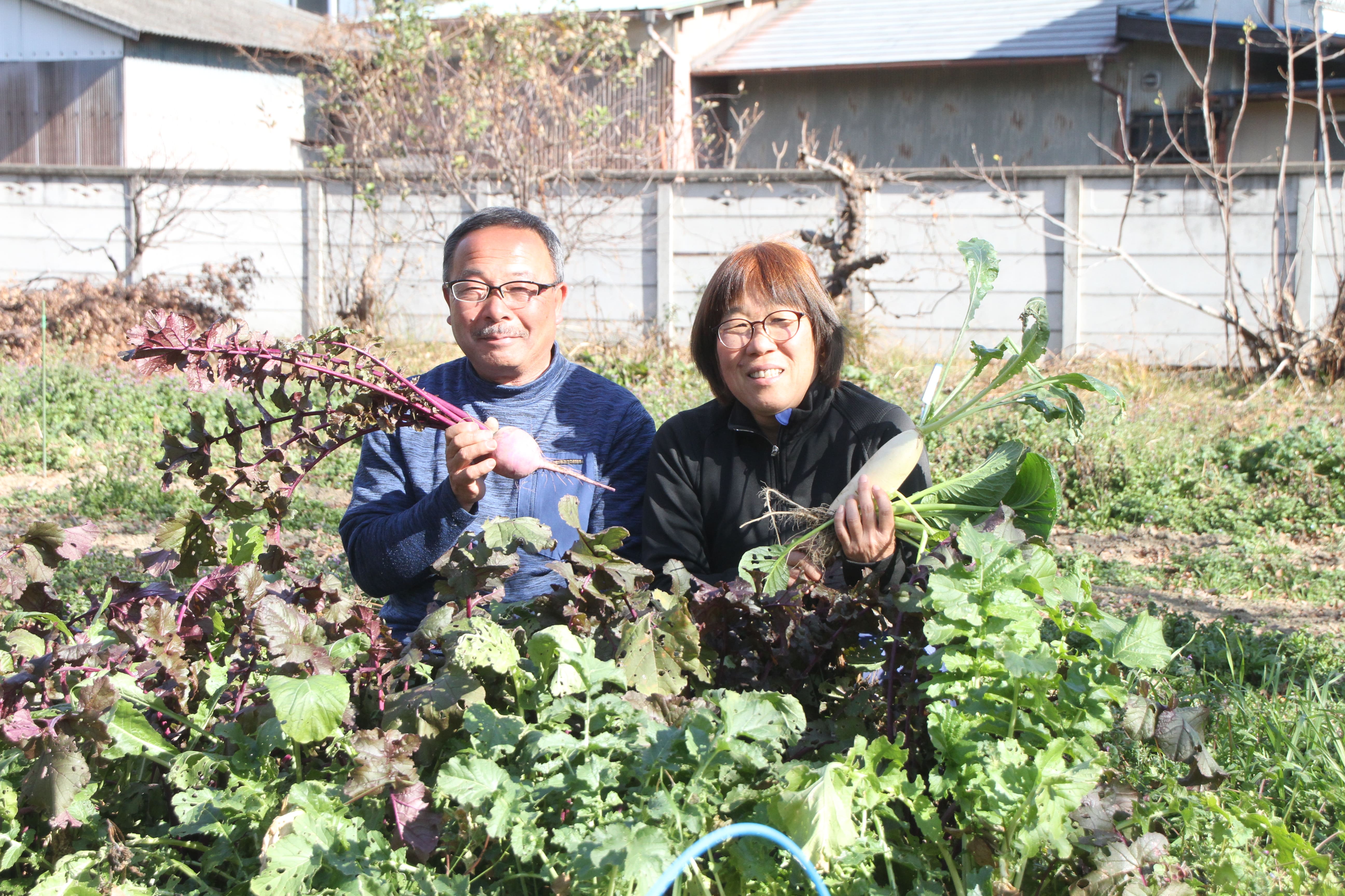 有機野菜をもっと身近に（北部営農経済課：鴻巣市）