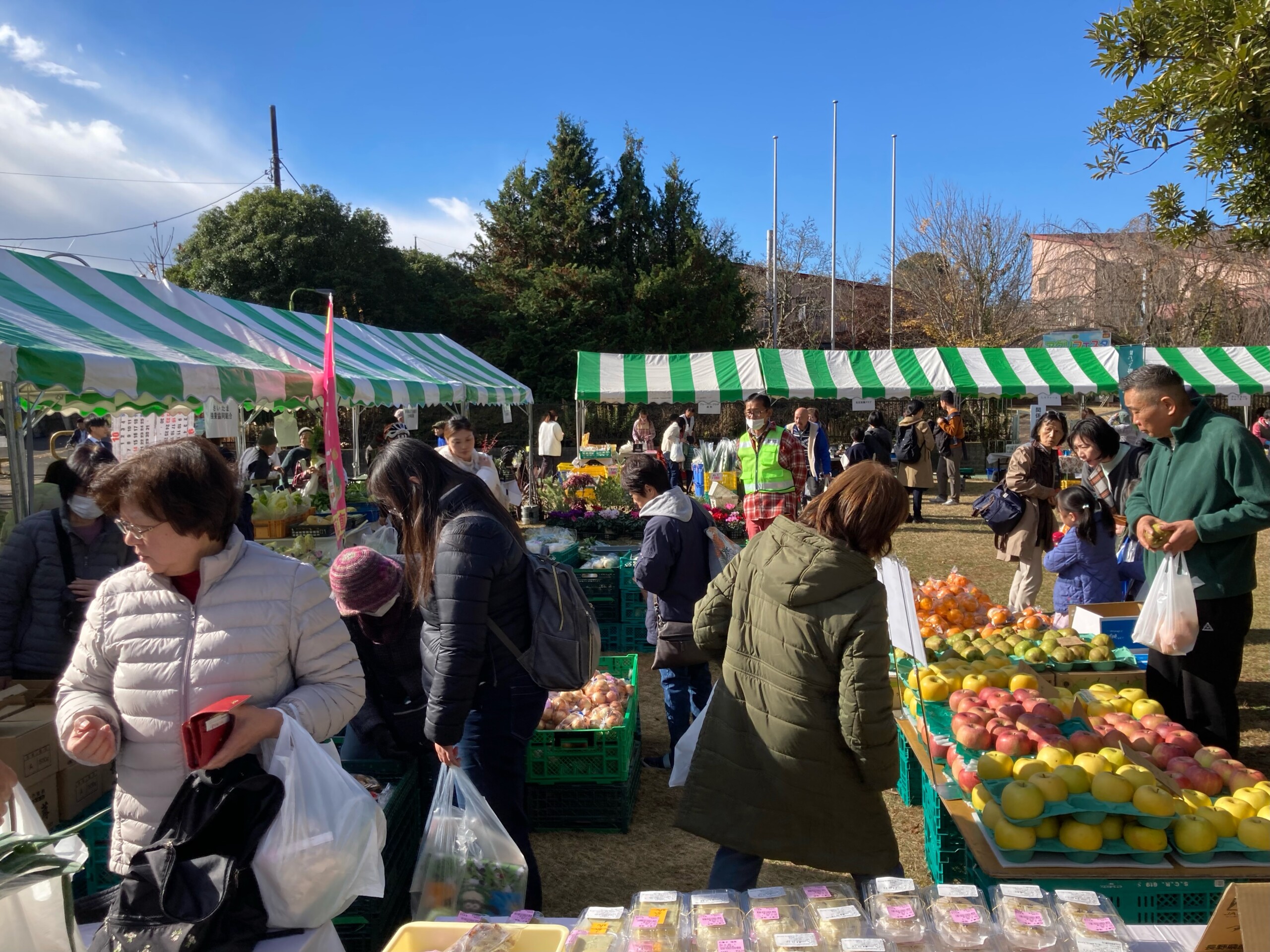 地元産の野菜が大人気（中部営農経済課）