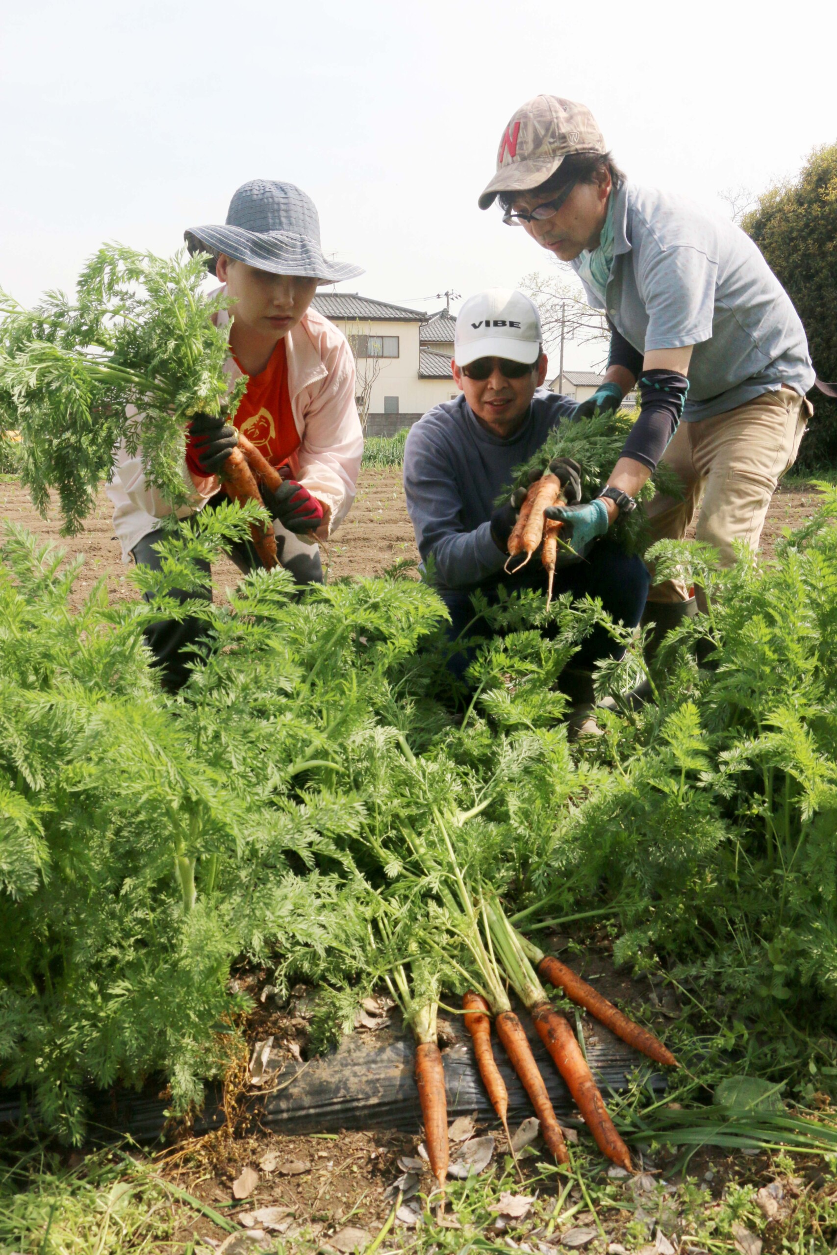 農福連携の拡大を目指す（北部営農経済課）