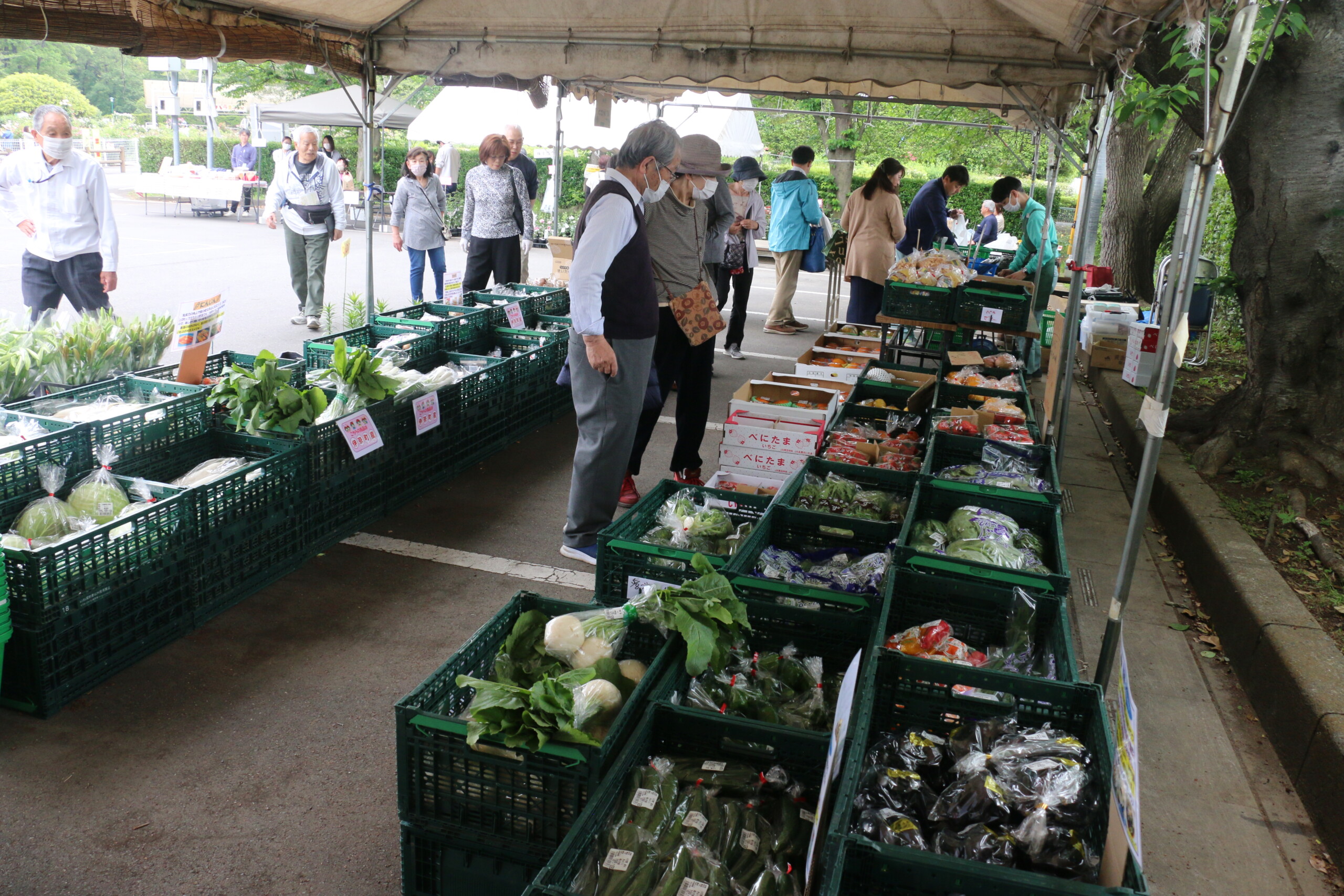 バラまつりで地元産農産物ＰＲ（四季彩館農産物直売所：伊奈町）