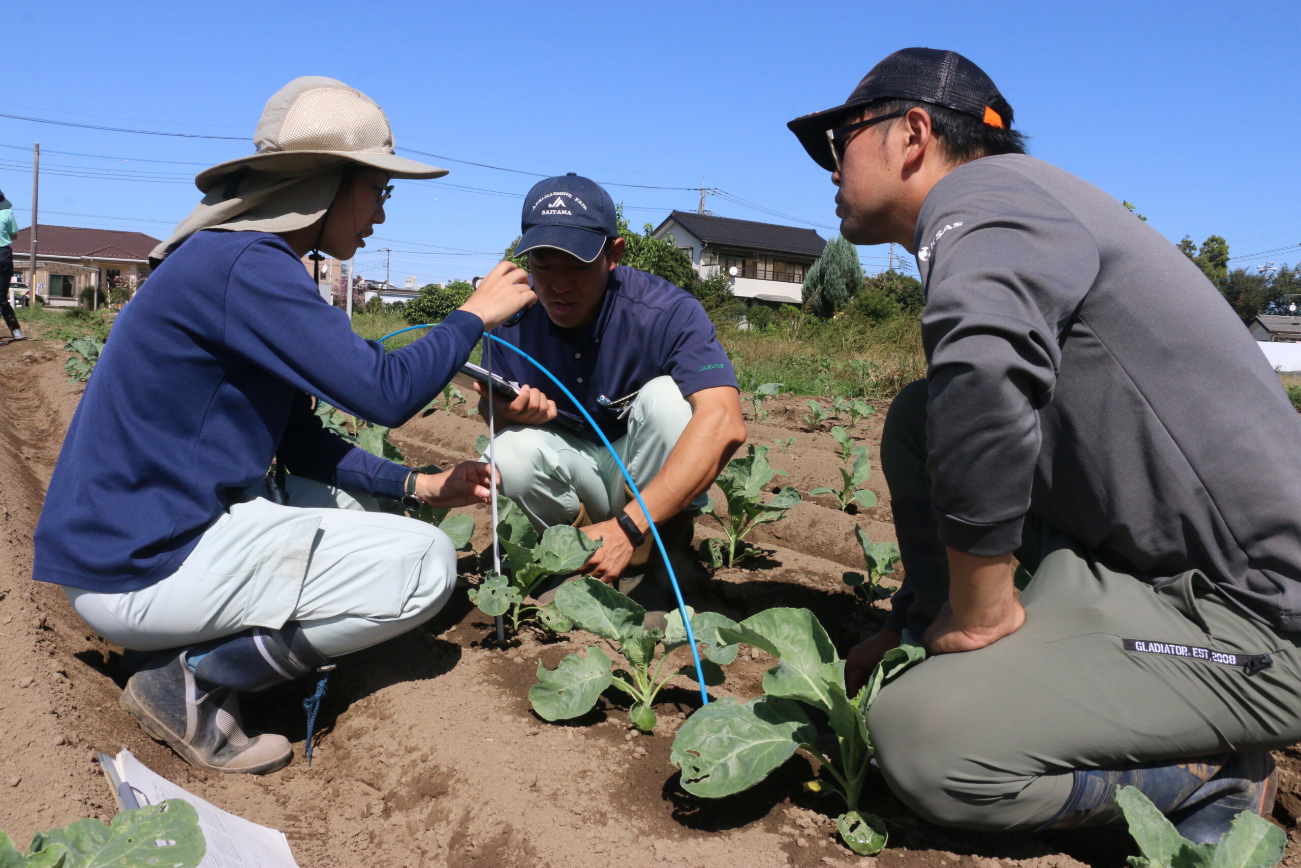 猛暑に負けず高品質な野菜を（北部営農経済課）