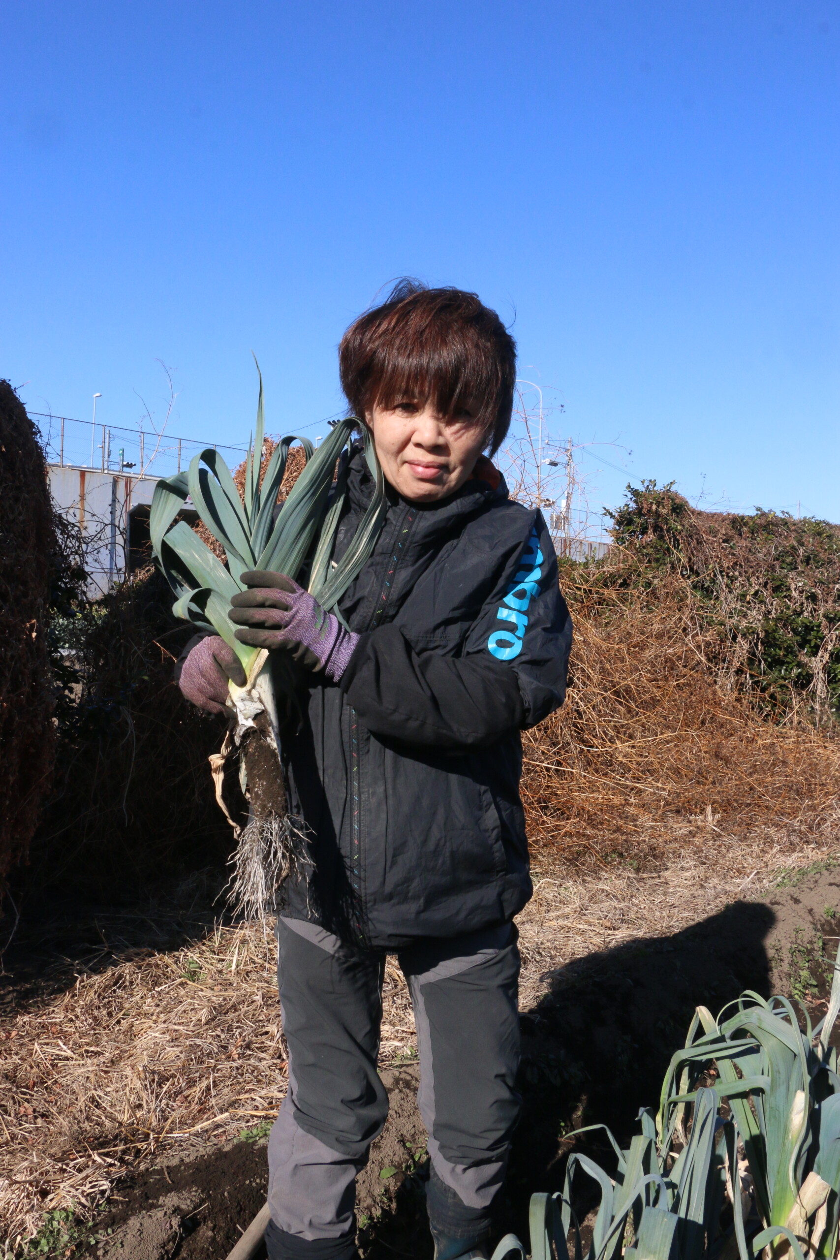 リーキ食べてみて！（中部営農経済課）